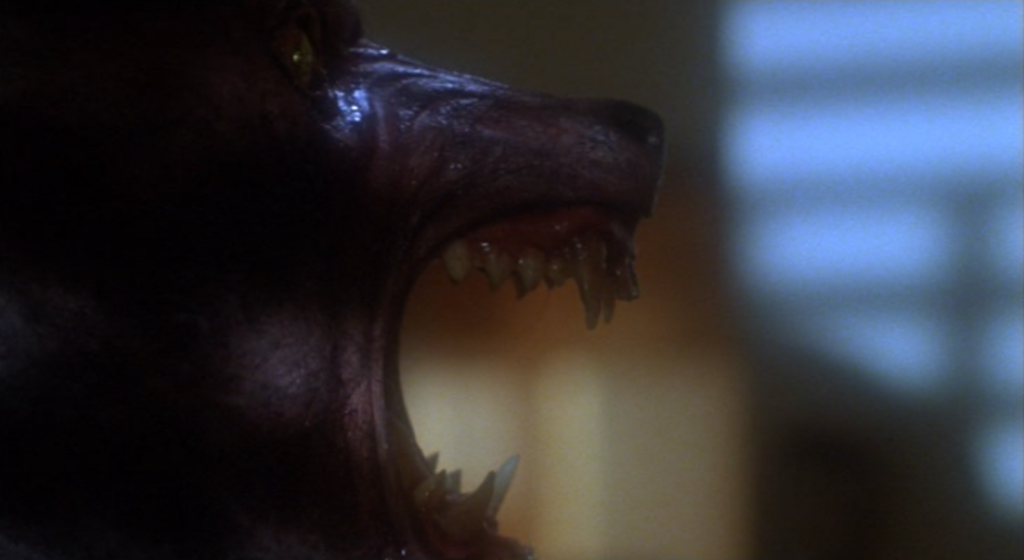 Howling_Movie_Werewolf_Transoformation_3