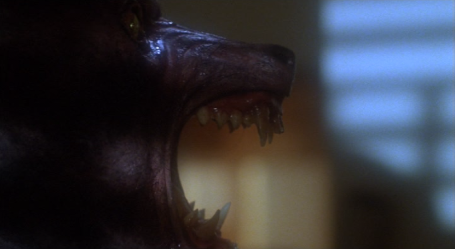 Howling_Movie_Werewolf_Transoformation_3.png